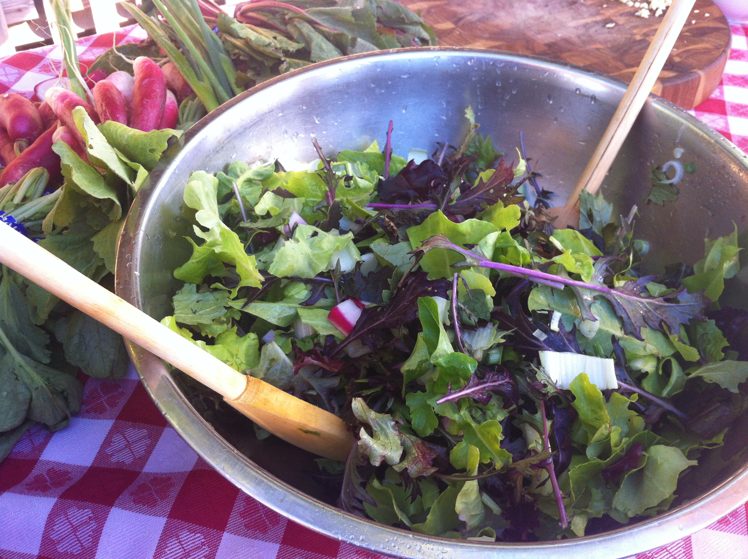 Winter Greens and Roots Salad