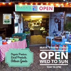 Maya's Farm Stand Now Open